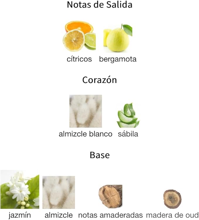 Asdaaf Lataffa Ambientador